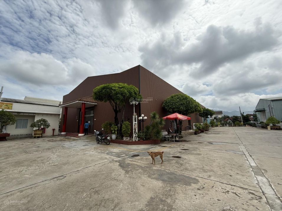 CHO THUÊ KHO, NHÀ XƯỞNG GẤP TẠI ĐƯỜNG 1A, NHA TRANG - GIÁ SỐC CHỈ 80 TRIỆU VND/ tháng